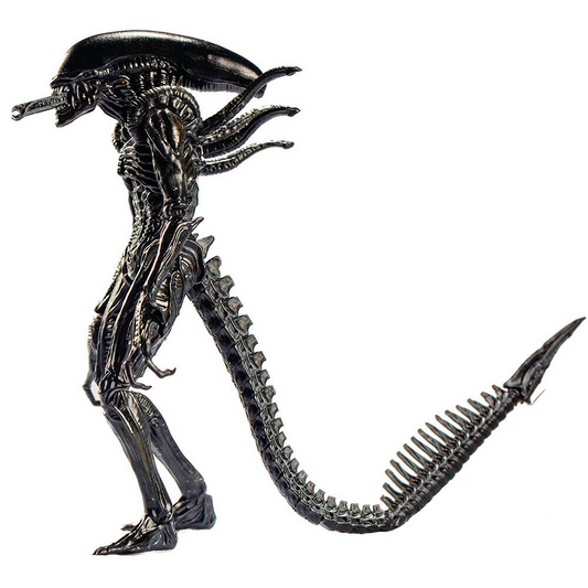 Hiya Toys - Alien vs Pedator - Alien Guerrero Negro Escala 1/18
